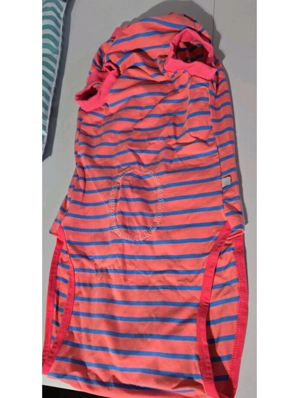 Dog Recovery One-Piece Pink Blue